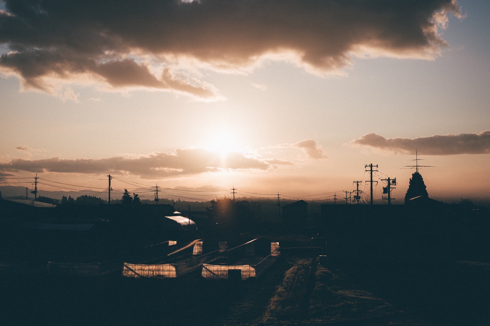 第一类人关于信任的旧存根