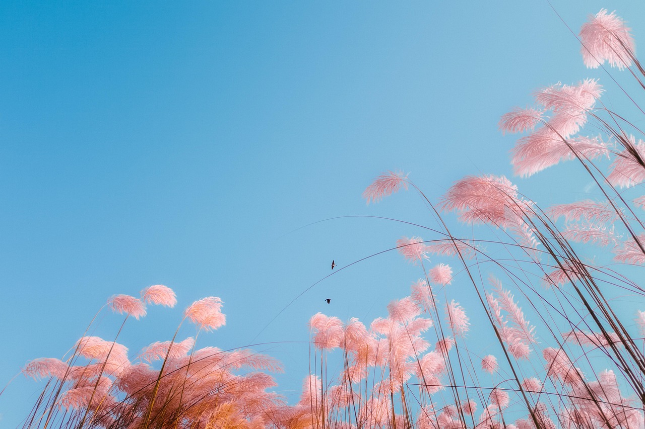 底气是容许一切发生的豁达